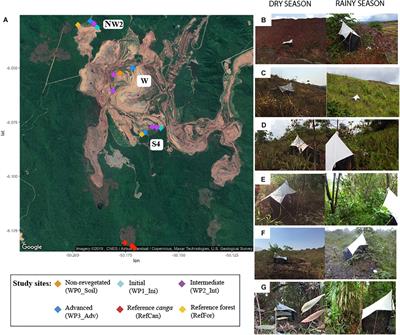 DNA-Based Arthropod Diversity Assessment in Amazonian Iron Mine Lands Show Ecological Succession Towards Undisturbed Reference Sites